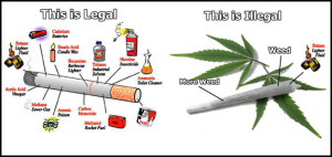 cig-legal-weed-not-legal